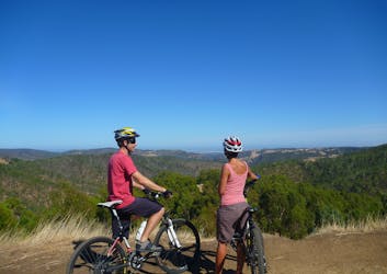 Tour de medio día en Lofty Descents en bicicleta